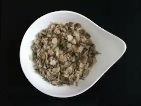 Farce aux champignons